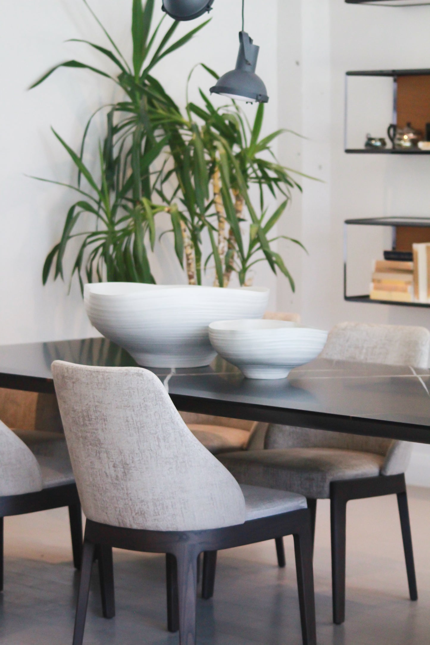 FONTI Collection